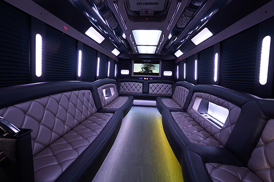 Large limousine bus