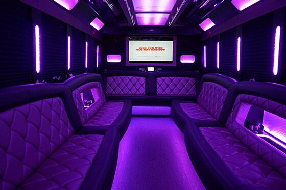 A 30 passenger party bus